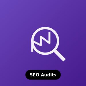 SEO Audits — Eco Sapphire SEO services
